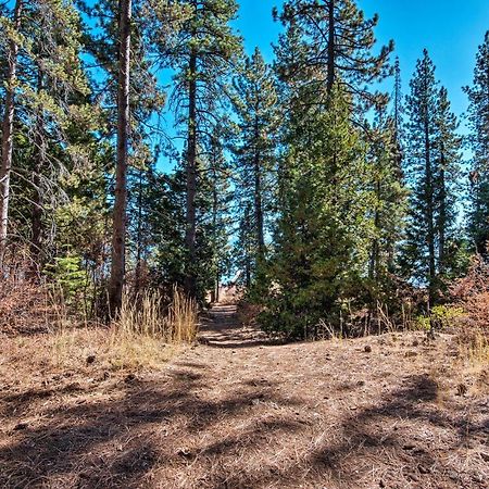 Modern Lakeside Cabin Walk To Dock And Tahoe City Luaran gambar